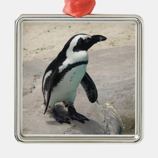 Penguin Ornament (Framsidan)