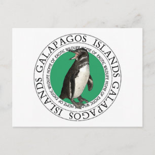 Penguin på Galapagosöarna Vykort