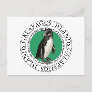 Penguin på Galapagosöarna Vykort