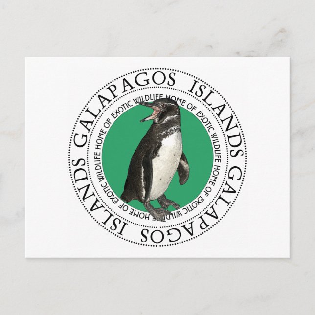 Penguin på Galapagosöarna Vykort (Framsida)