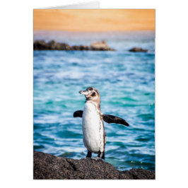 Penguin på ön Bartolome Hälsningskort