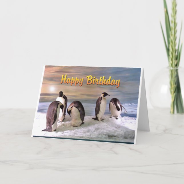 Penguin Photo Grattis på födelsedagen Card Kort (Framsida)