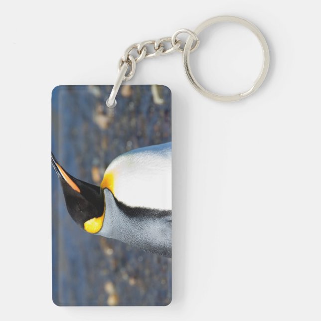 Penguin Porträtt (Baksidan)