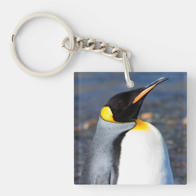Penguin Porträtt (Framsidan)