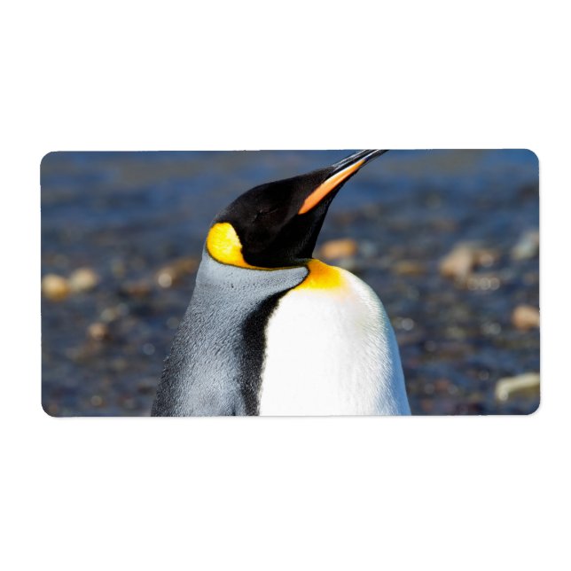 Penguin Porträtt Fraktsedel (Framsidan)