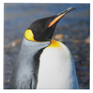 Penguin Porträtt Kakelplatta