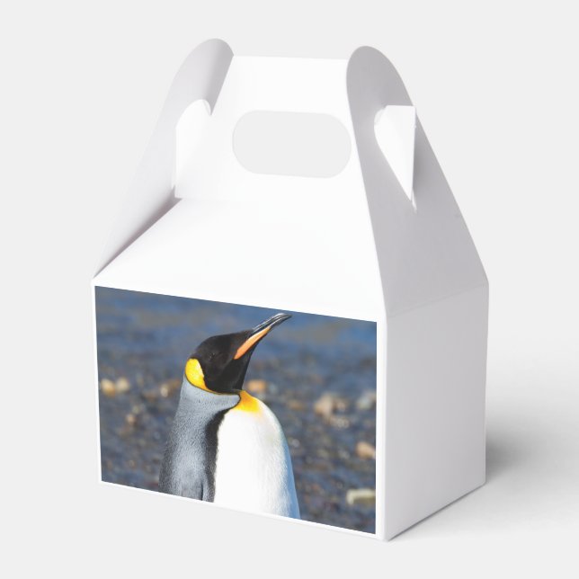 Penguin Porträtt Presentaskar (Baksidan Sidan)