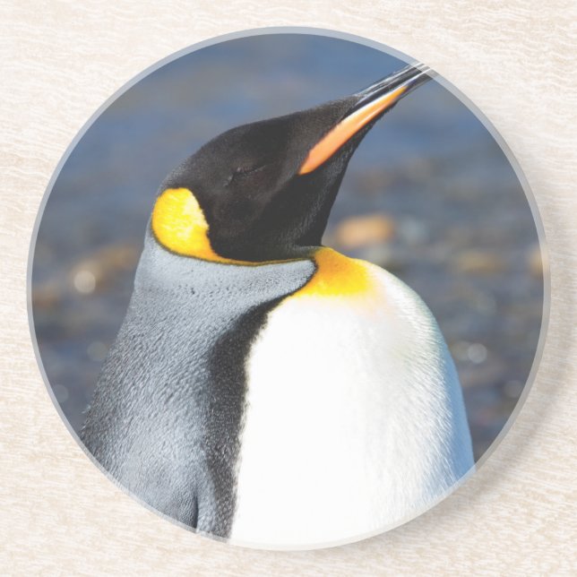 Penguin Porträtt Underlägg (Framsidan)