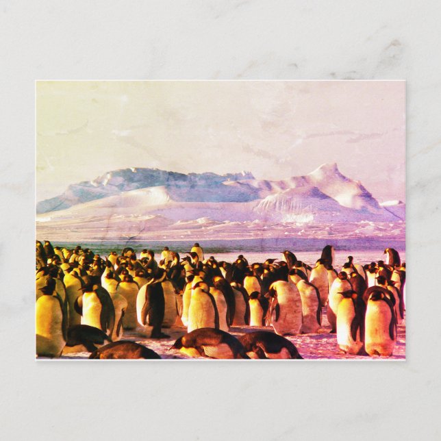 PENGUIN POSTCARD Helgdag-vykort Helg Vykort (Framsida)