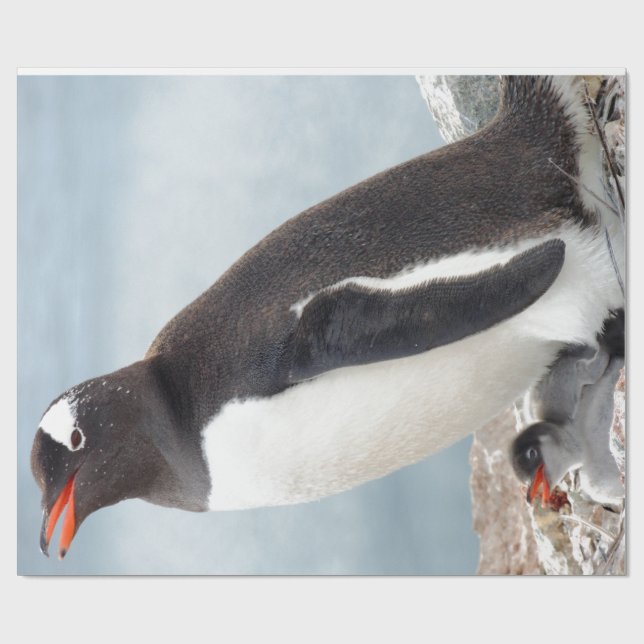 Penguin Presentpapper (Platt)