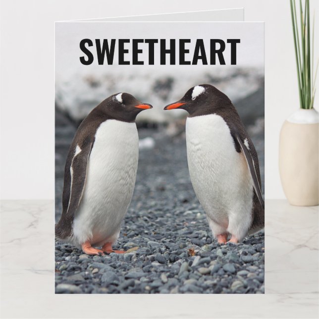 PENGUIN ROMANTIC BIRTHDAY BIG CARD KORT (Framsida)