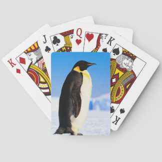PENGUIN SPELKORT