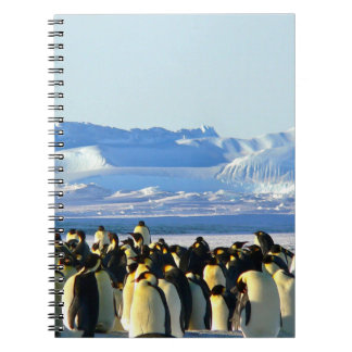 Penguin spiral bärbar dator anteckningsbok