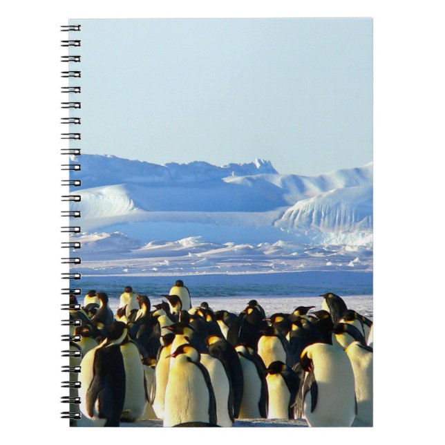 Penguin spiral bärbar dator anteckningsbok (Framsidan)