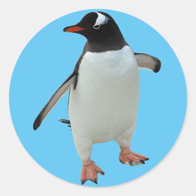 Penguin Sticker Runt Klistermärke (Framsida)
