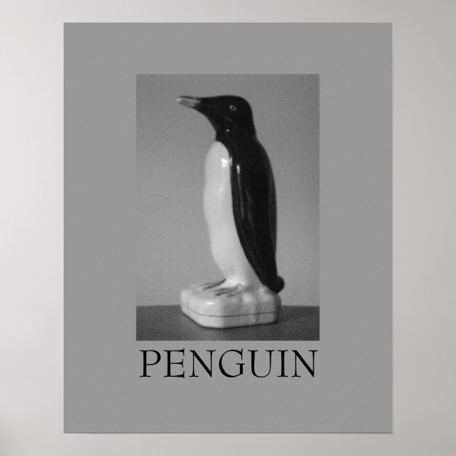 penguin ~ svart och vitt poster (Framsidan)