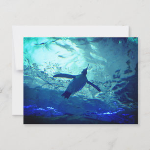 Penguin Swimming-vykort Vykort