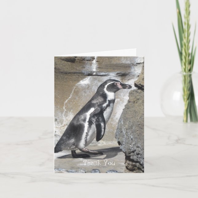 Penguin Tack Kort (Framsida)