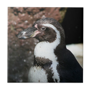 Penguin Tile Kakelplatta