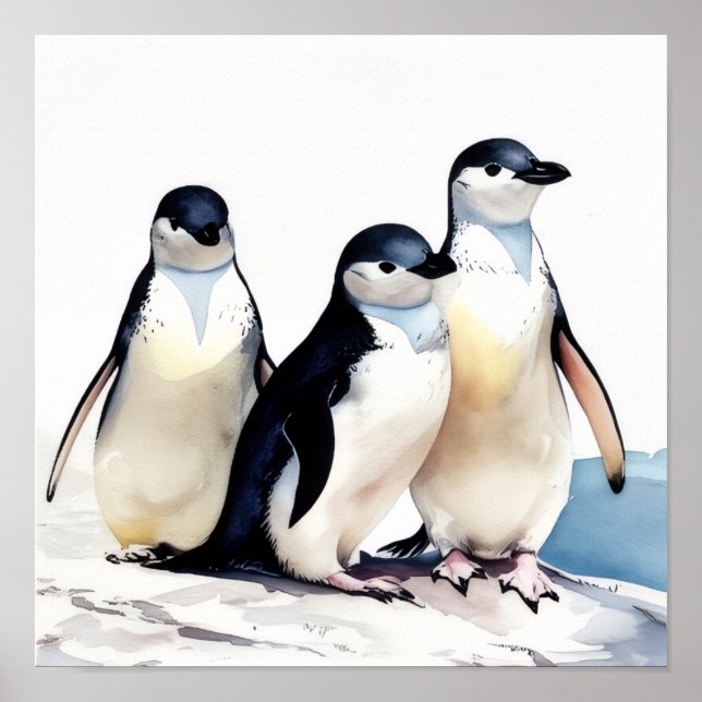 Penguin Trio Poster (Framsidan)