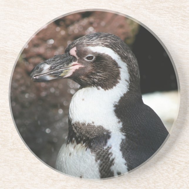 Penguin Underlägg (Framsidan)