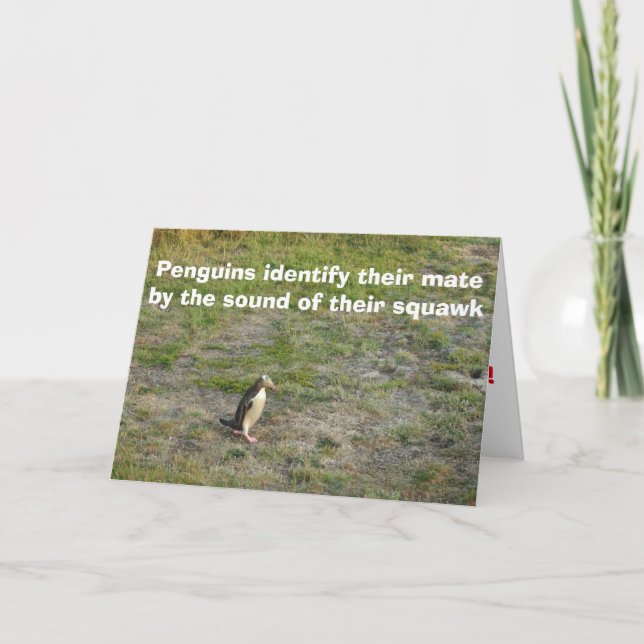 Penguin Valentine Helgkort (Framsida)