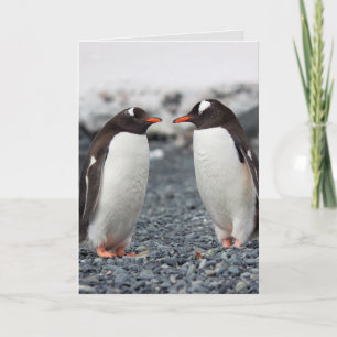 PENGUIN VÄNSKAP FRIEND-hälsningskort Kort