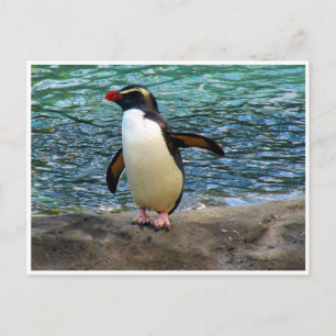 penguin vinge vykort