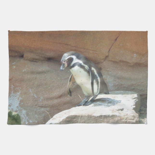 Penguin, Wildlife, Animal, Vild Bird, Zoo, Sommar Kökshandduk (Horisontell)