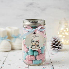 Penguin Winter Twins Baby Shower Boy Girl Gåvor Etiketter