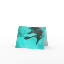 Penguindykning i blå vatten på ett blankprov