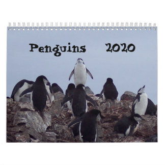 Penguiner - 2020 års kalender