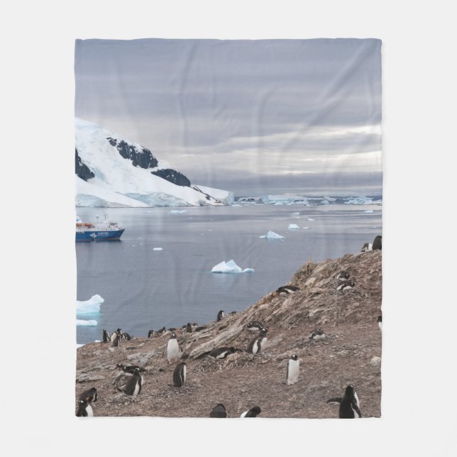 PENGUINER BESIDE SEA FLEECEFILT (Framsidan)