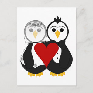 Penguiner, gifta i Kärlek Vykort