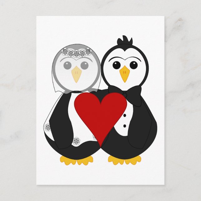 Penguiner, gifta i Kärlek Vykort (Framsida)