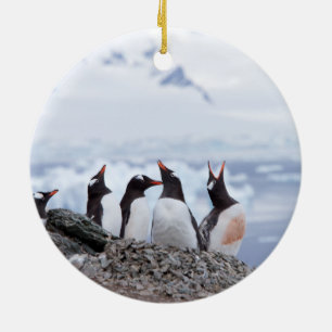Penguiner i Antarctica Julgransprydnad Keramik