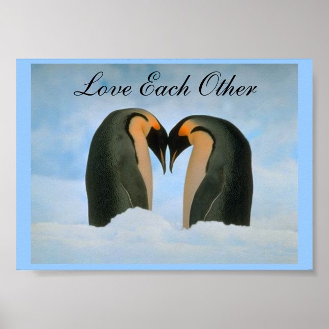 Penguiner- Kärlek vardera Poster (Framsidan)