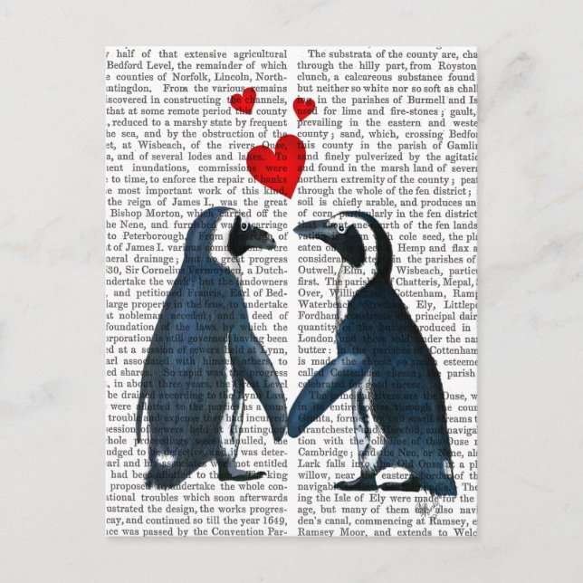 Penguiner med Kärlek Hearter Vykort (Framsida)