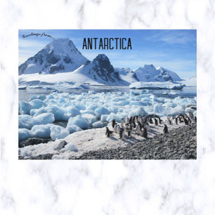 Penguiner på Pourkvoi Pas Island Antarctica Vykort