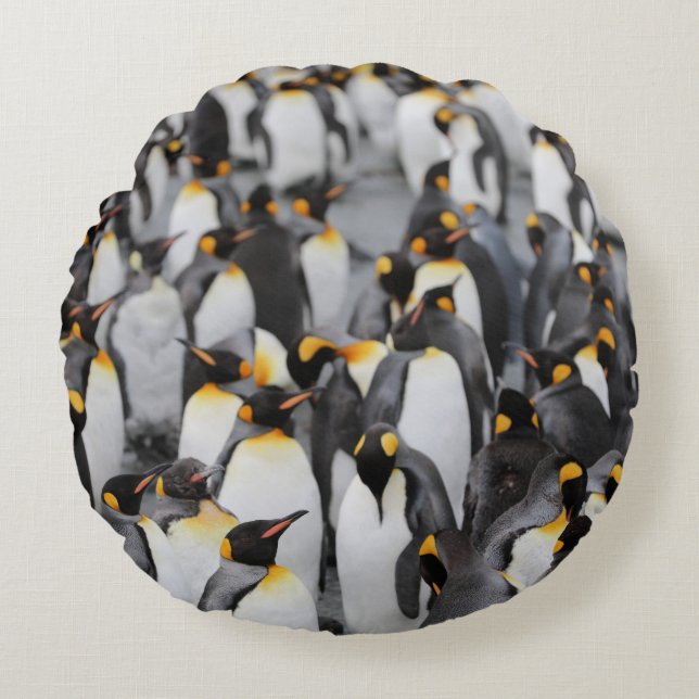 PENGUINER RUND KUDDE (Framsidan)