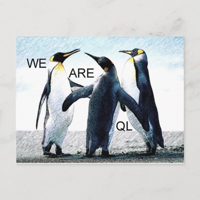 penguiner vykort (Framsida)