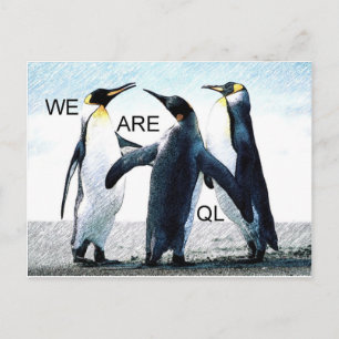 penguiner vykort