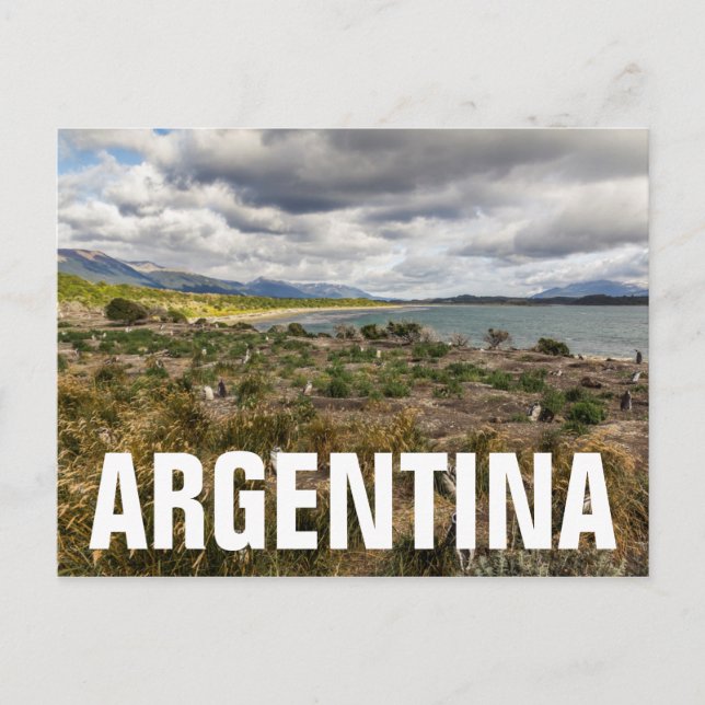 Penguinera Vykort (Framsida)