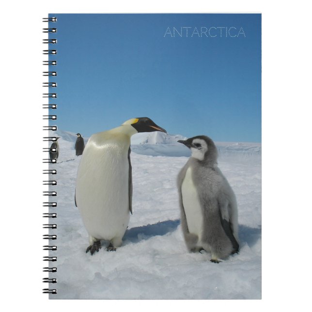 penguinfamilj anteckningsbok (Framsidan)
