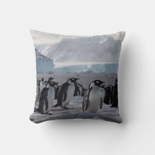 Penguinprocessionen - Antarktis vilt Kudde