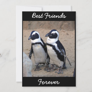Penguins