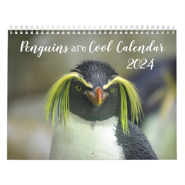 Penguins är Coola Calendar 2024 med beskrivningar Kalender (Omslag)