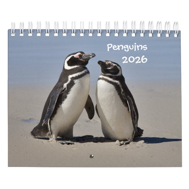 Penguins Calendar Kalender (Omslag)