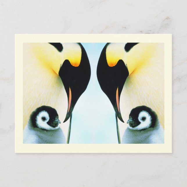 Penguins familjefära vykort (Framsida)