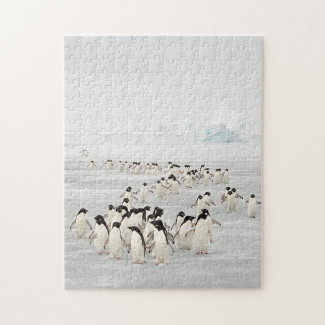 Penguins-gruppen Pussel (Vertikal)
